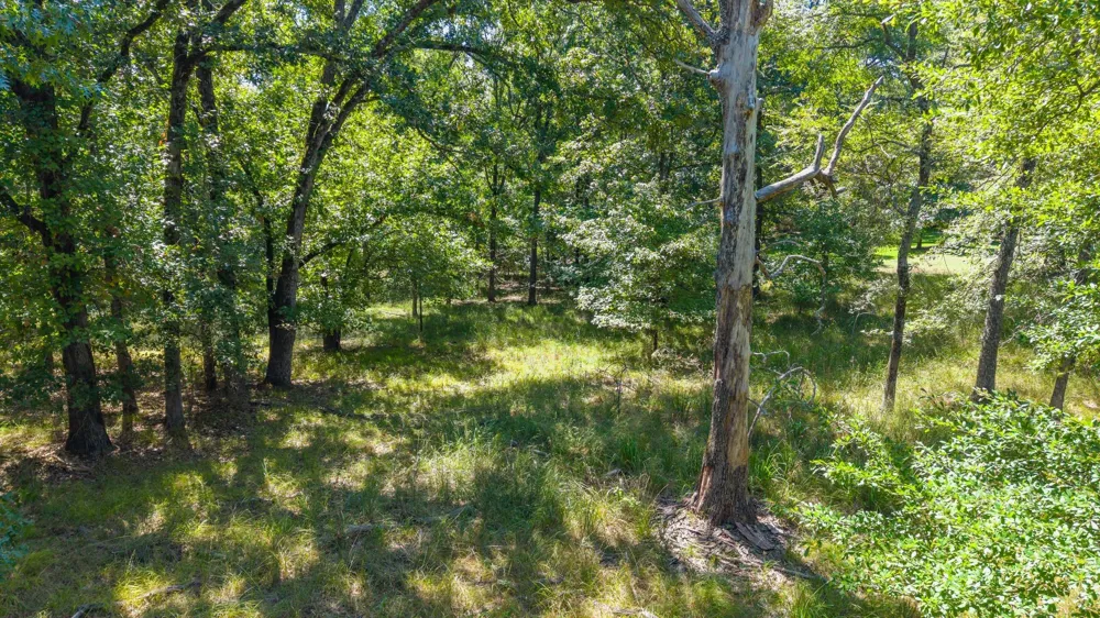 3401 Emory, TX 75440