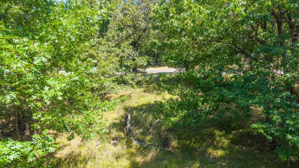 3401 Emory, TX 75440