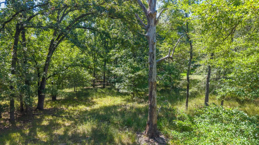 3401 Emory, TX 75440