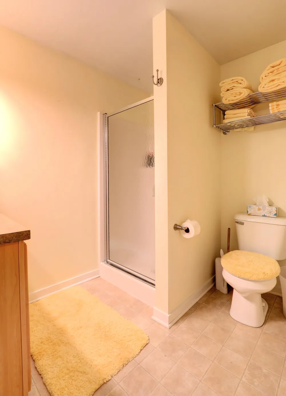 265 Interlaken Court Zeeland, MI 49464