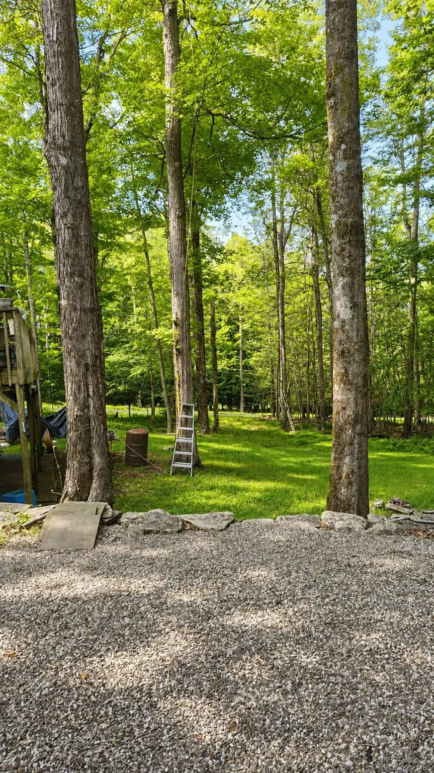 3 Rennison Road Grahamsville, NY 12740