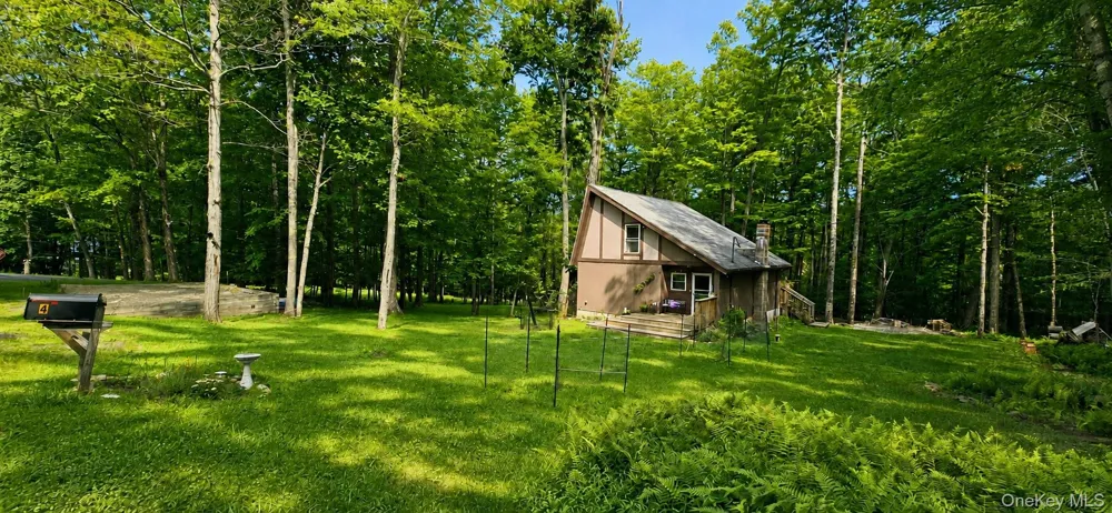 3 Rennison Road Grahamsville, NY 12740