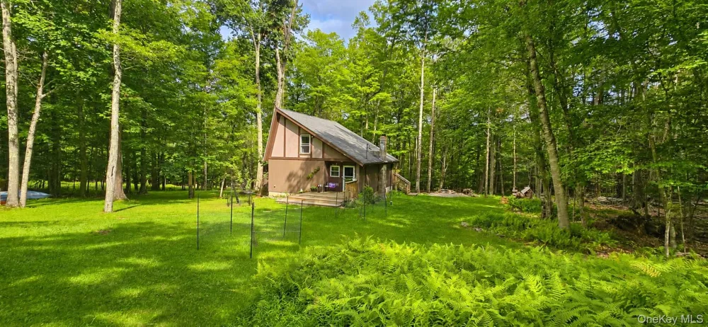 3 Rennison Road Grahamsville, NY 12740