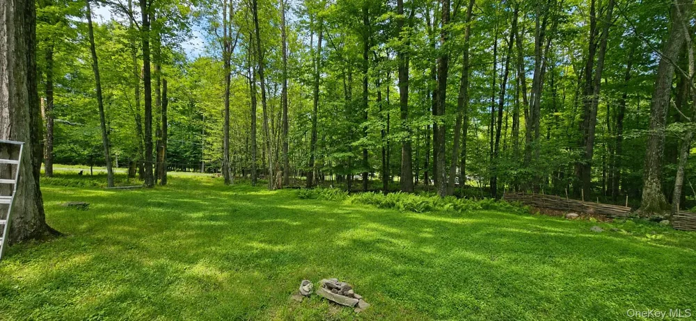 3 Rennison Road Grahamsville, NY 12740