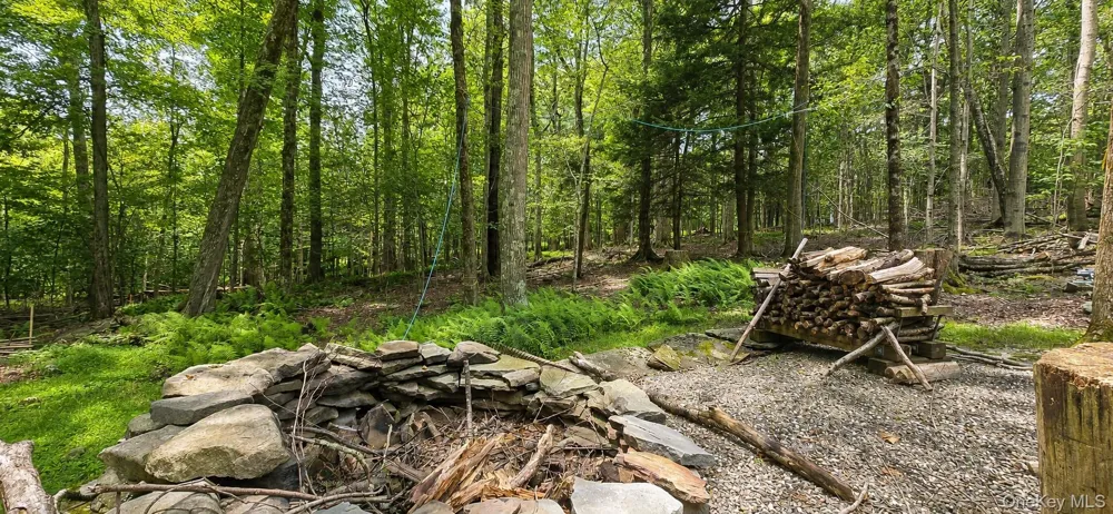 3 Rennison Road Grahamsville, NY 12740
