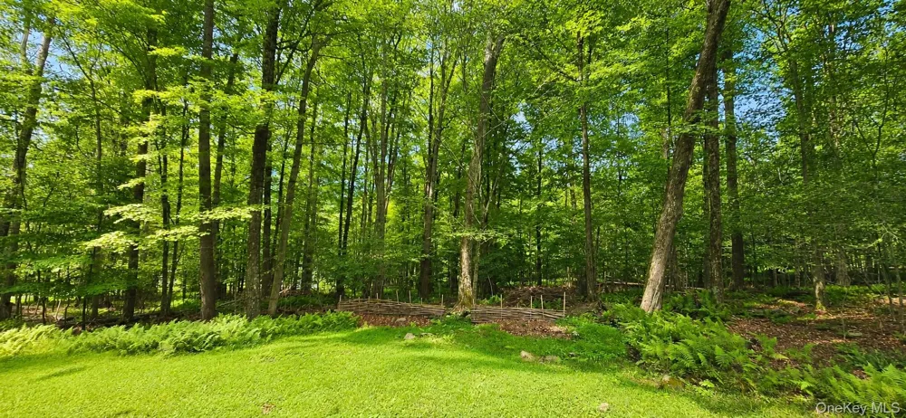 3 Rennison Road Grahamsville, NY 12740