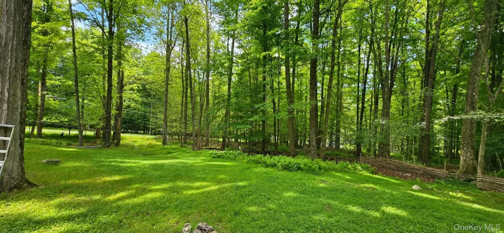 3 Rennison Road Grahamsville, NY 12740