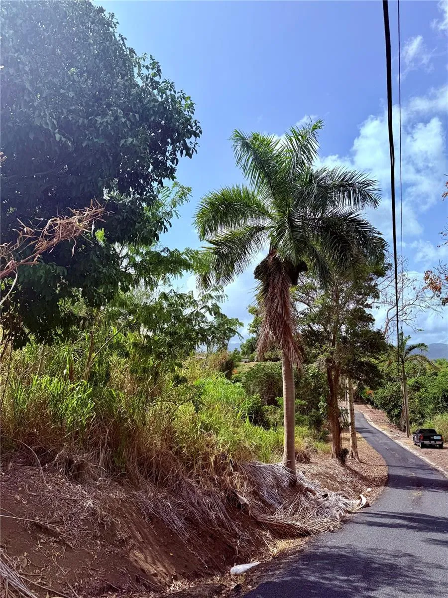 857 ROUTE #km 6.8 Carolina, PR 00987