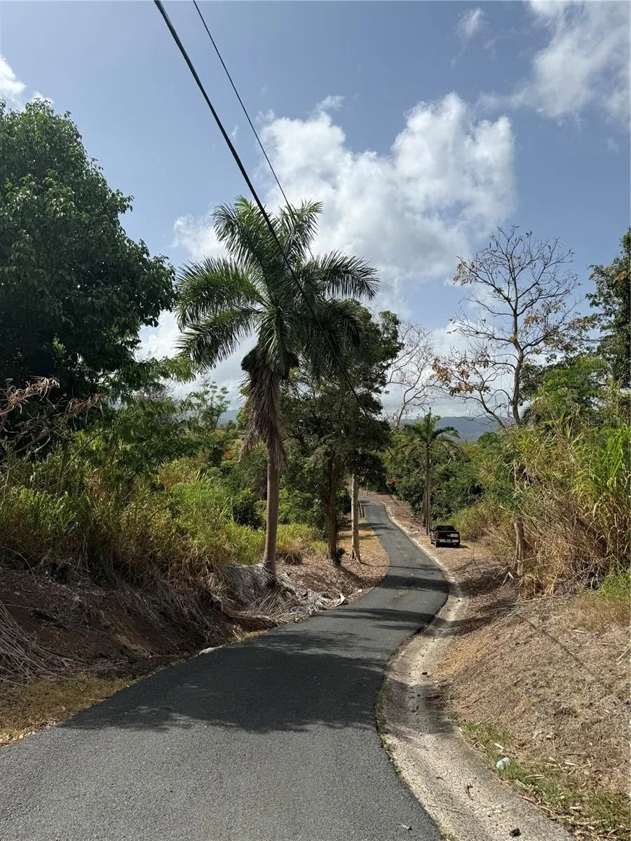 857 ROUTE #km 6.8 Carolina, PR 00987