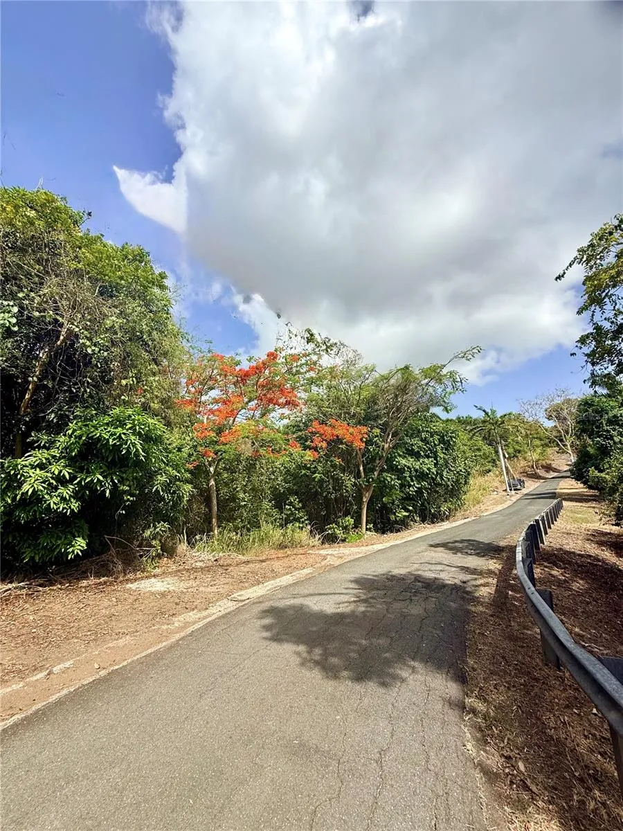 857 ROUTE #km 6.8 Carolina, PR 00987
