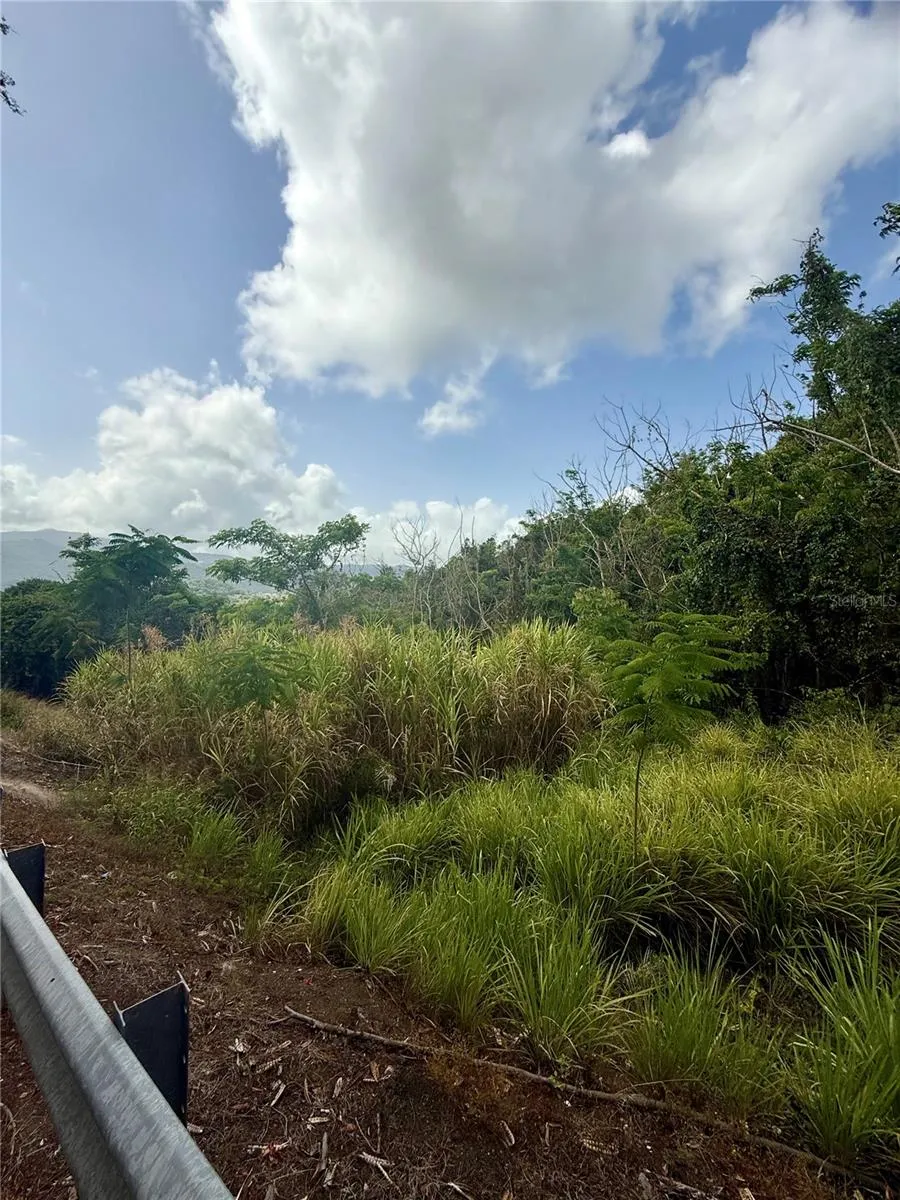 857 ROUTE #km 6.8 Carolina, PR 00987