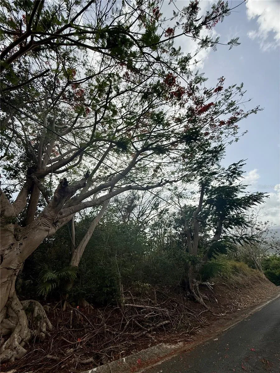 857 ROUTE #km 6.8 Carolina, PR 00987