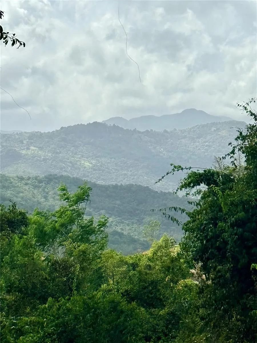 857 ROUTE #km 6.8 Carolina, PR 00987