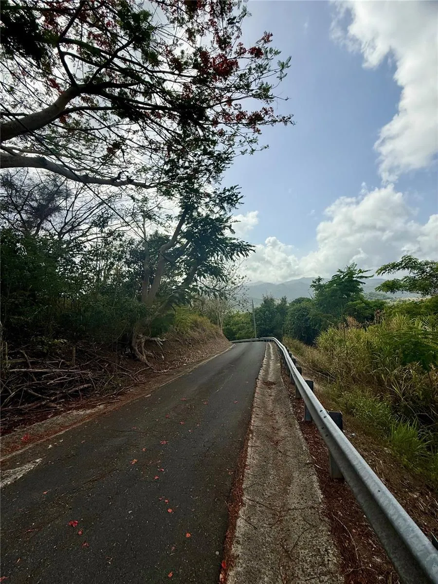 857 ROUTE #km 6.8 Carolina, PR 00987