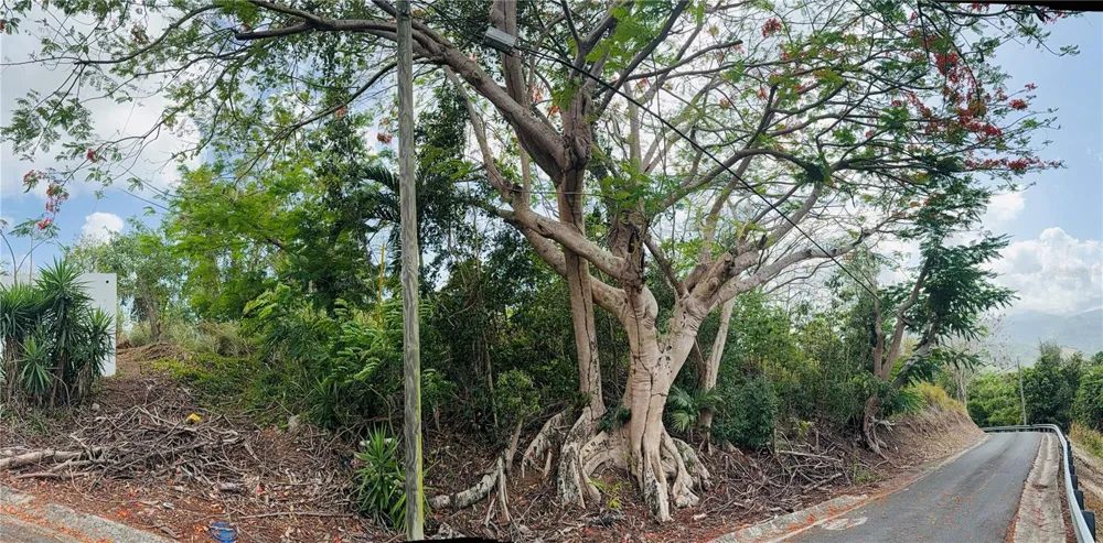 857 ROUTE #km 6.8 Carolina, PR 00987