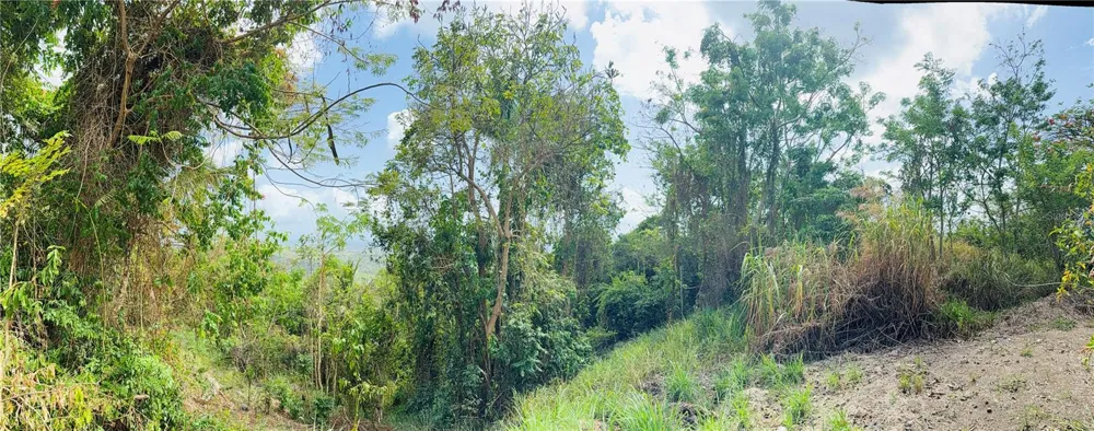 857 ROUTE #km 6.8 Carolina, PR 00987