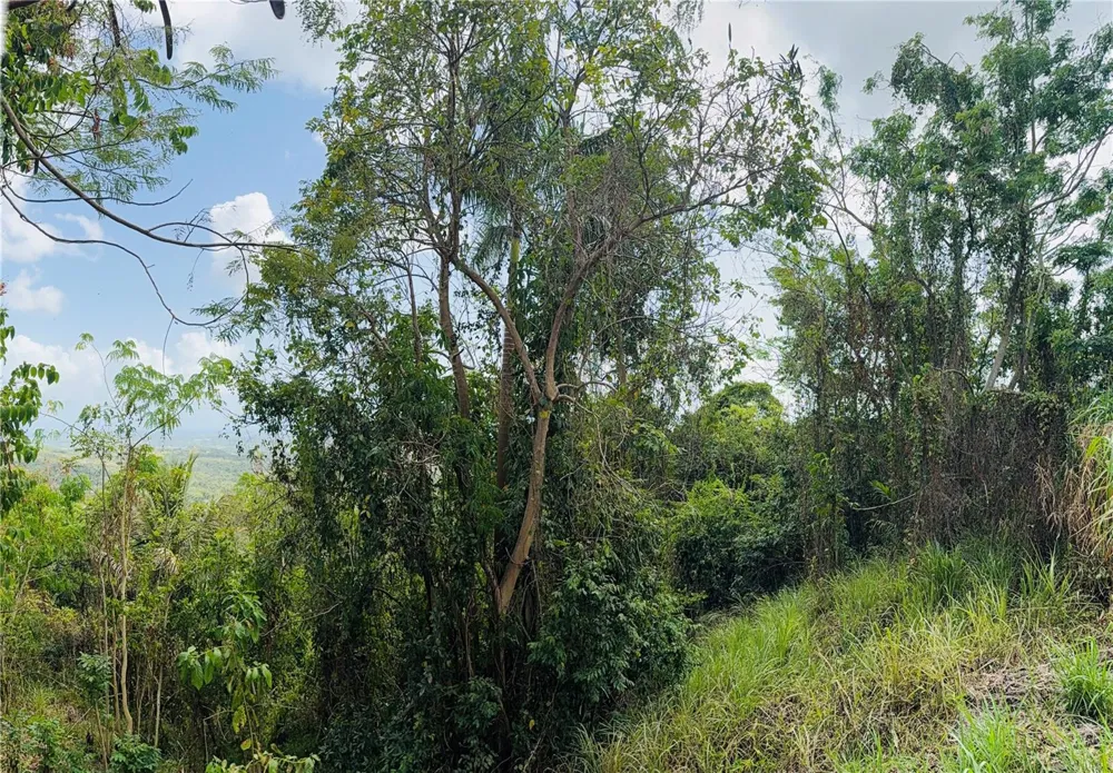 857 ROUTE #km 6.8 Carolina, PR 00987