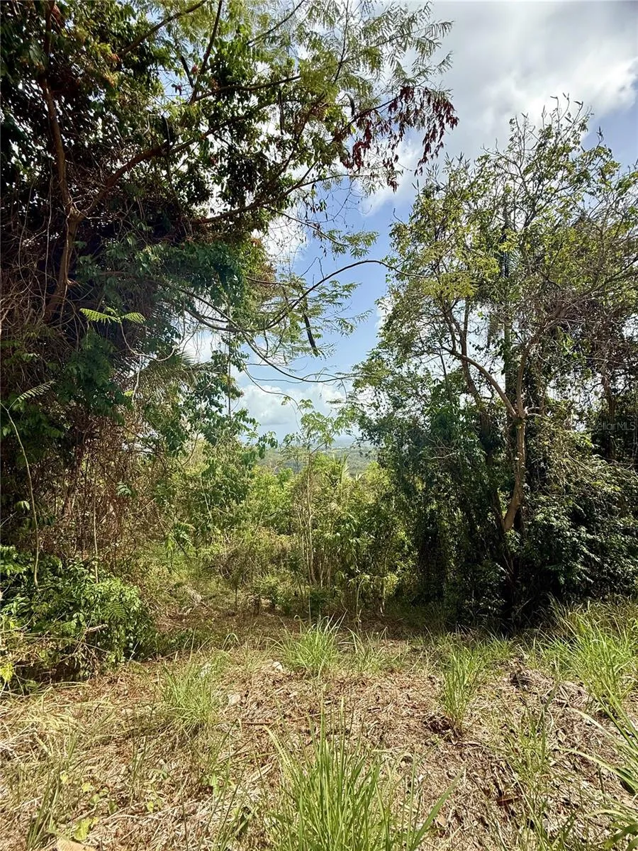 857 ROUTE #km 6.8 Carolina, PR 00987