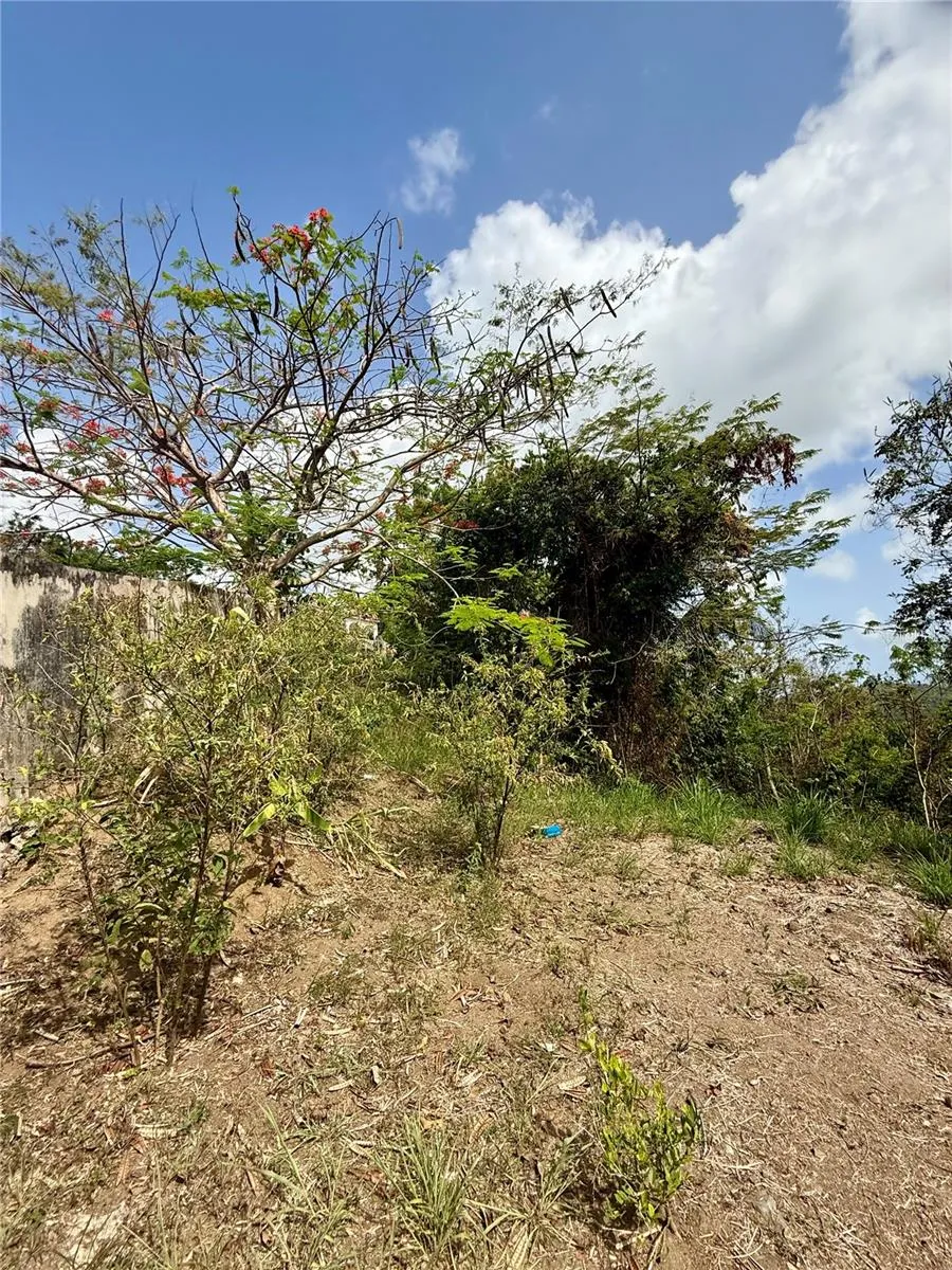 857 ROUTE #km 6.8 Carolina, PR 00987