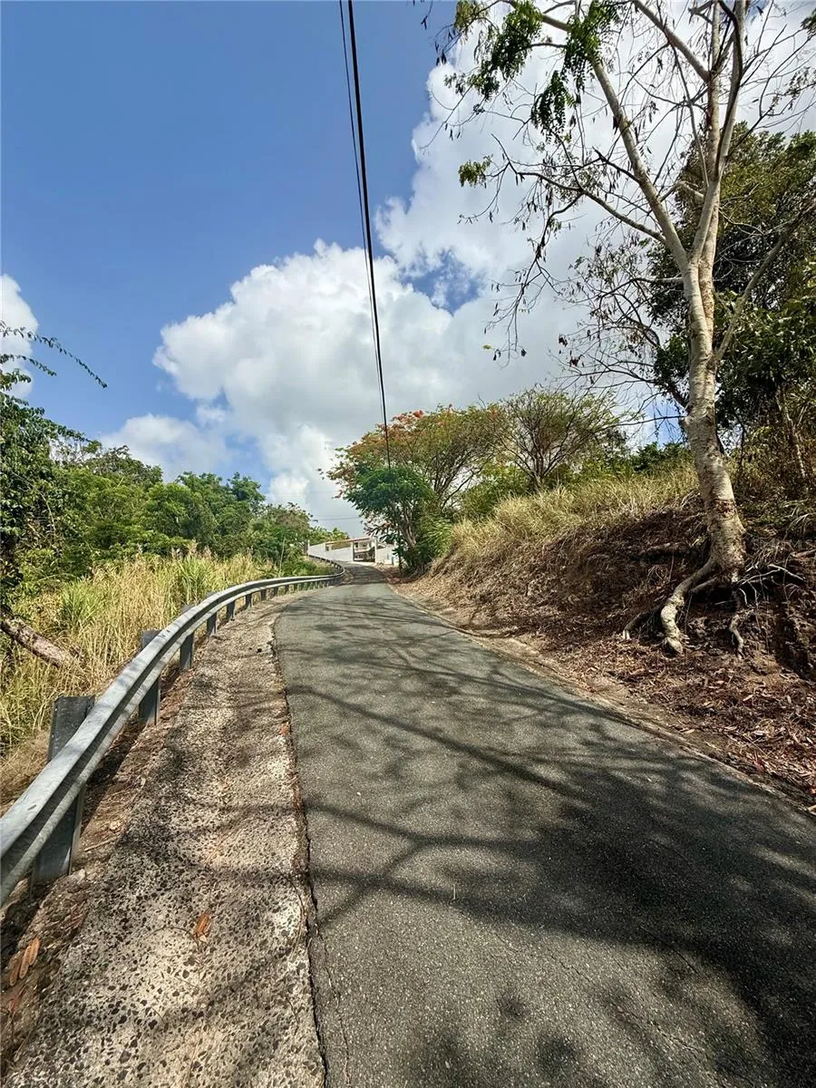 857 ROUTE #km 6.8 Carolina, PR 00987
