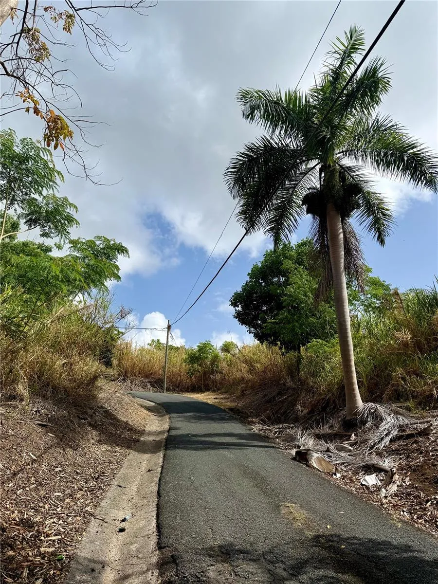 857 ROUTE #km 6.8 Carolina, PR 00987