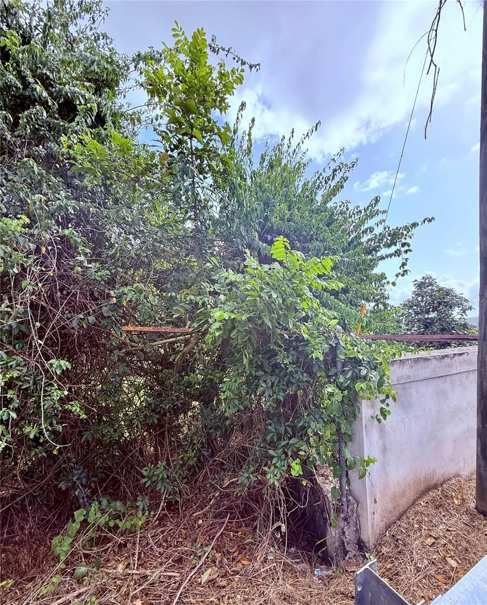 857 ROUTE #km 6.8 Carolina, PR 00987
