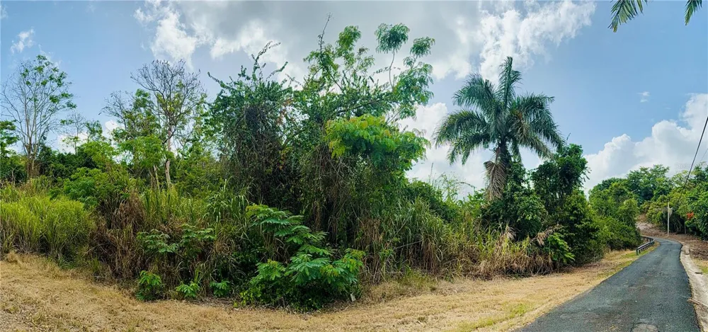 857 ROUTE #km 6.8 Carolina, PR 00987