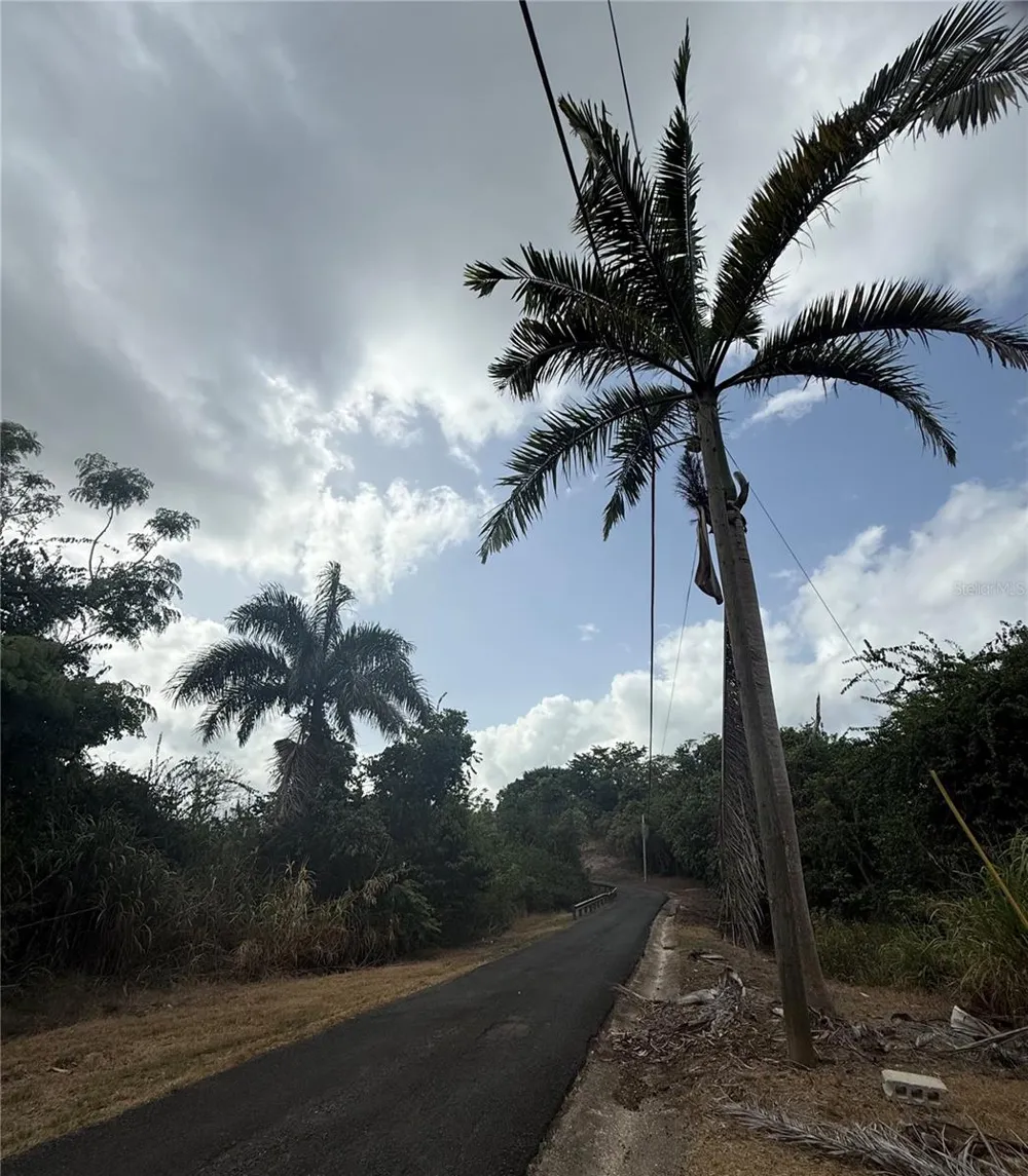 857 ROUTE #km 6.8 Carolina, PR 00987