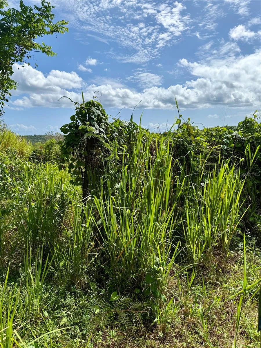 857 ROUTE #km 6.8 Carolina, PR 00987