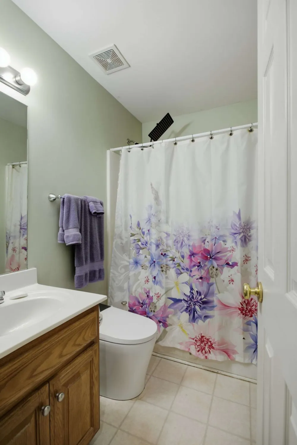 1042 Watauga Ct Thompsons Station, TN 37179