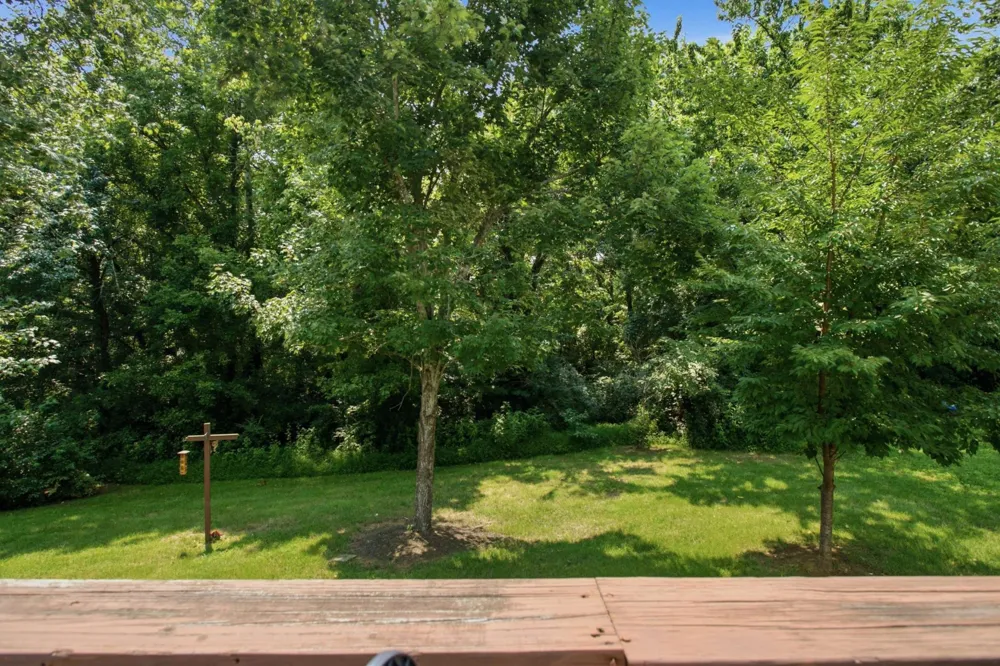 1042 Watauga Ct Thompsons Station, TN 37179