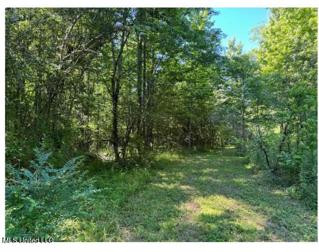3605 Byhalia Road Hernando, MS 38632