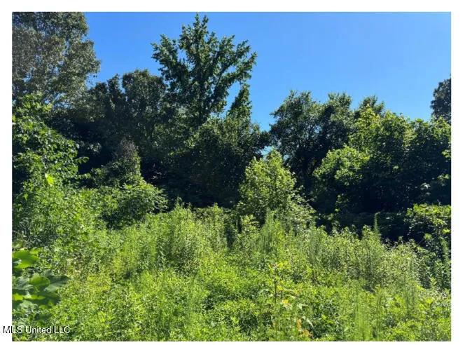 3605 Byhalia Road Hernando, MS 38632