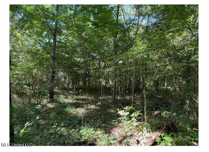 3605 Byhalia Road Hernando, MS 38632