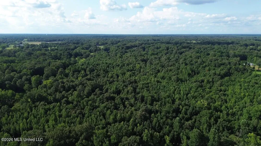 3605 Byhalia Road Hernando, MS 38632