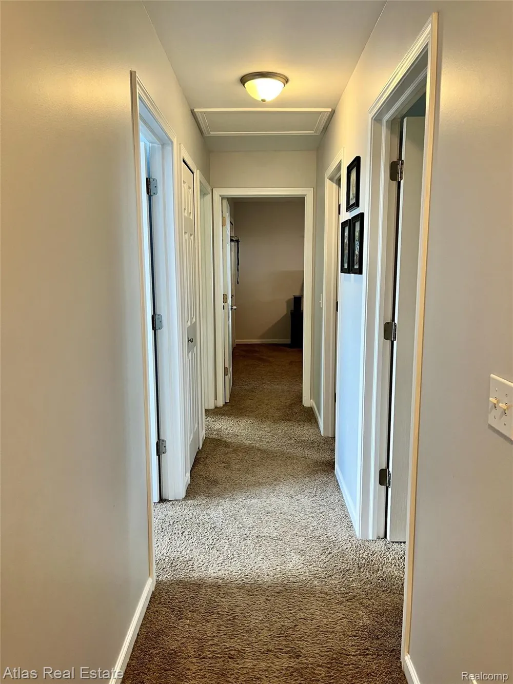 8345 Oak Ridge Drive Atlas Township, MI 48438