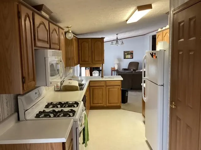 124 Horseshoe Drive Rose Lake Township, MI 49655
