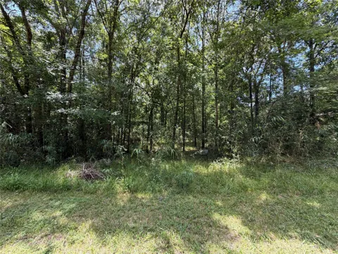 119 Miller Drive