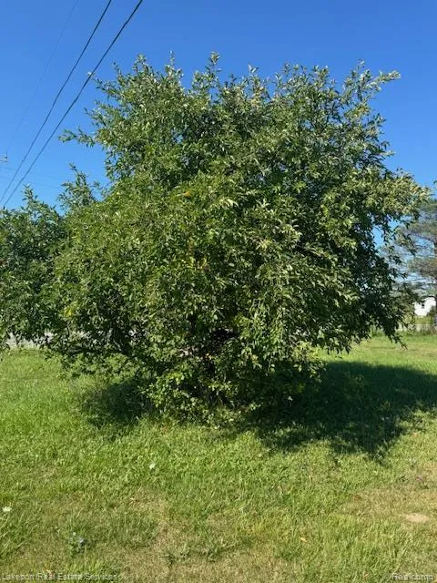 8485 Yale Road Greenwood Township, MI 48006