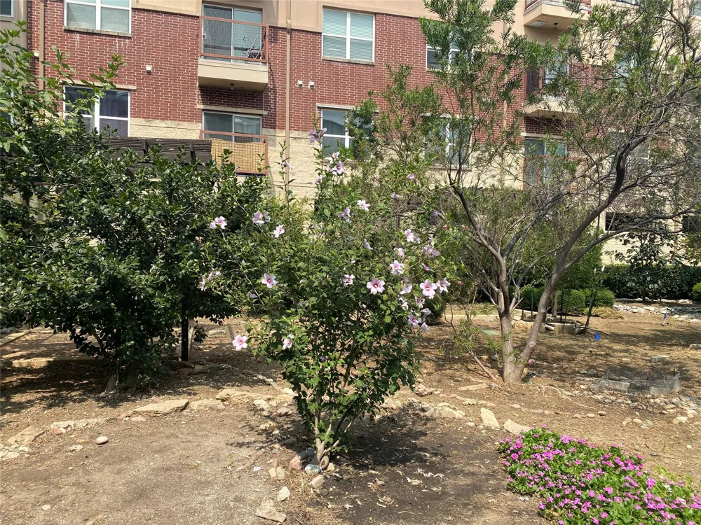 1100 W Trinity Mills Road #4046 Carrollton, TX 75006