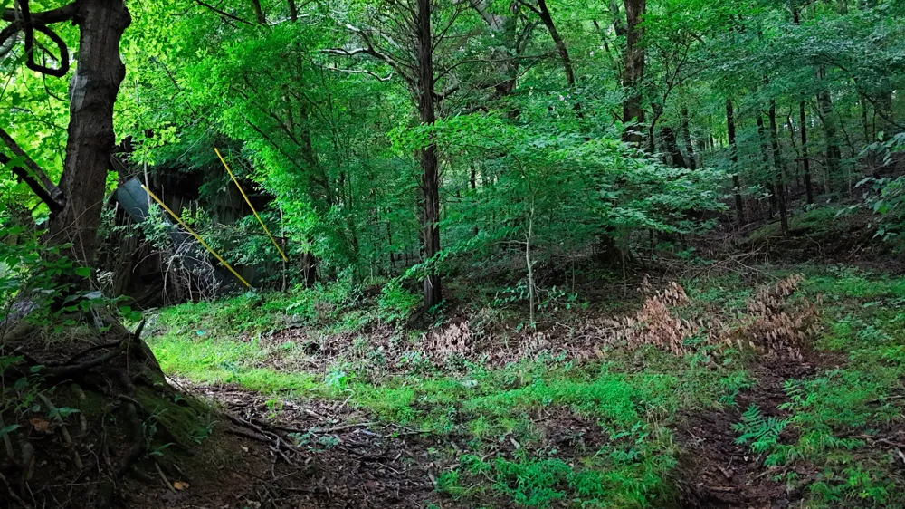 4 Cedar Hill Rd White Bluff, TN 37187