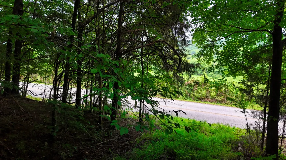 4 Cedar Hill Rd White Bluff, TN 37187