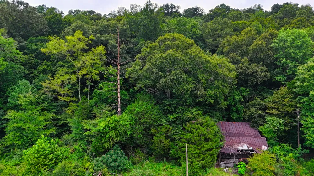 4 Cedar Hill Rd White Bluff, TN 37187