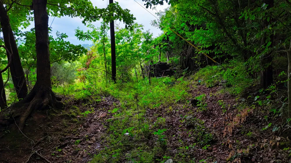4 Cedar Hill Rd White Bluff, TN 37187