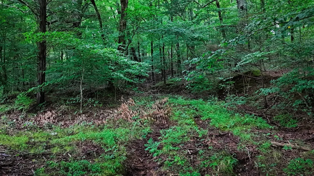 4 Cedar Hill Rd White Bluff, TN 37187
