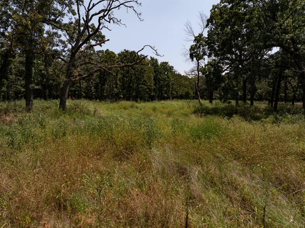 4290 ROAD Big Cabin, OK 74332