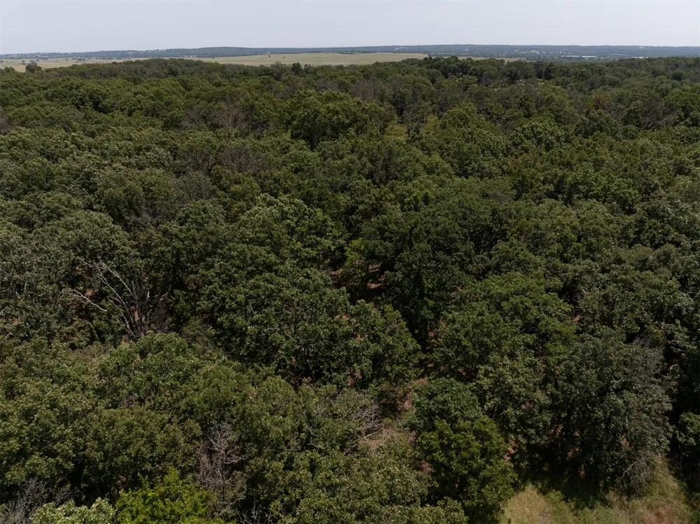 4290 ROAD Big Cabin, OK 74332