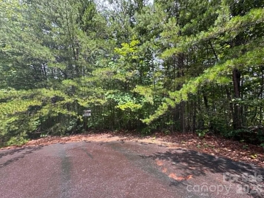 TBD Fire Tower Road Bostic, NC 28018