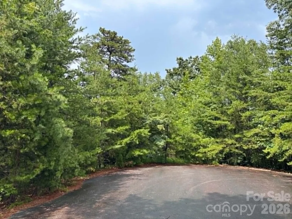 TBD Fire Tower Road Bostic, NC 28018