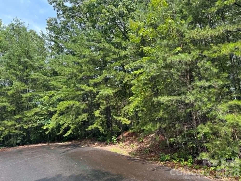 TBD Fire Tower Road Bostic, NC 28018